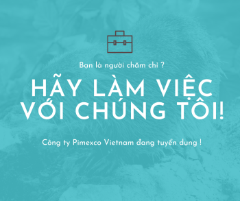 Tuyển Phó giám đốc phụ trách kinh doanh